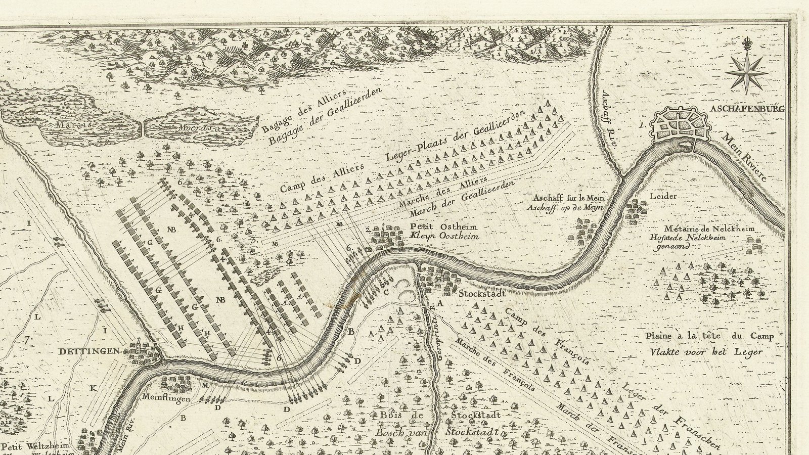 Engraved 1743 plan of the battle of Dettingen showing the river Main winding between Dettingen and Aschaffenburg, rows of allied and French troops and camps on both banks.