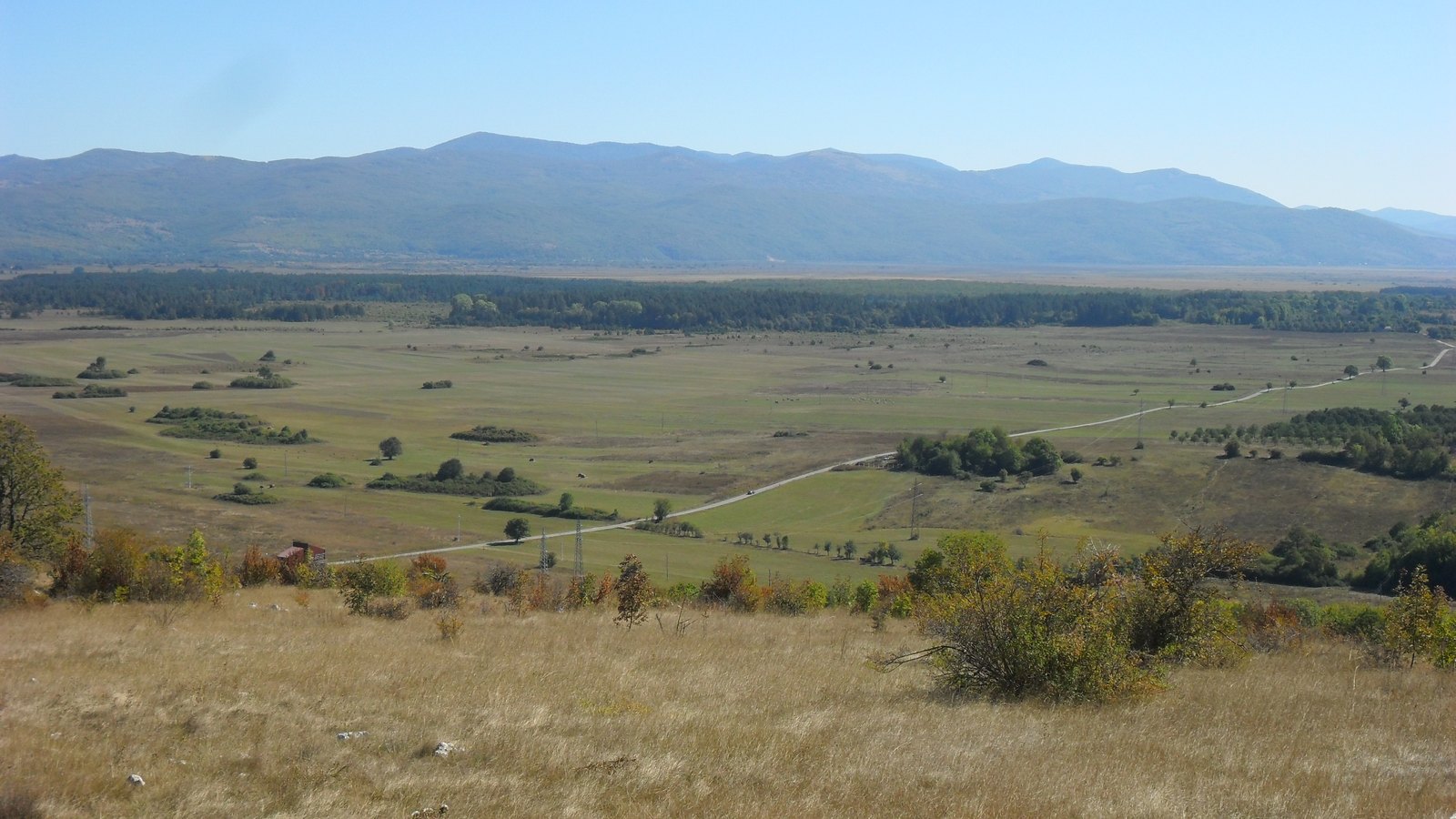 A wide grassy karst plain with scattered trees and a road crossing it, under a range of low wooded mountains and a clear blue sky