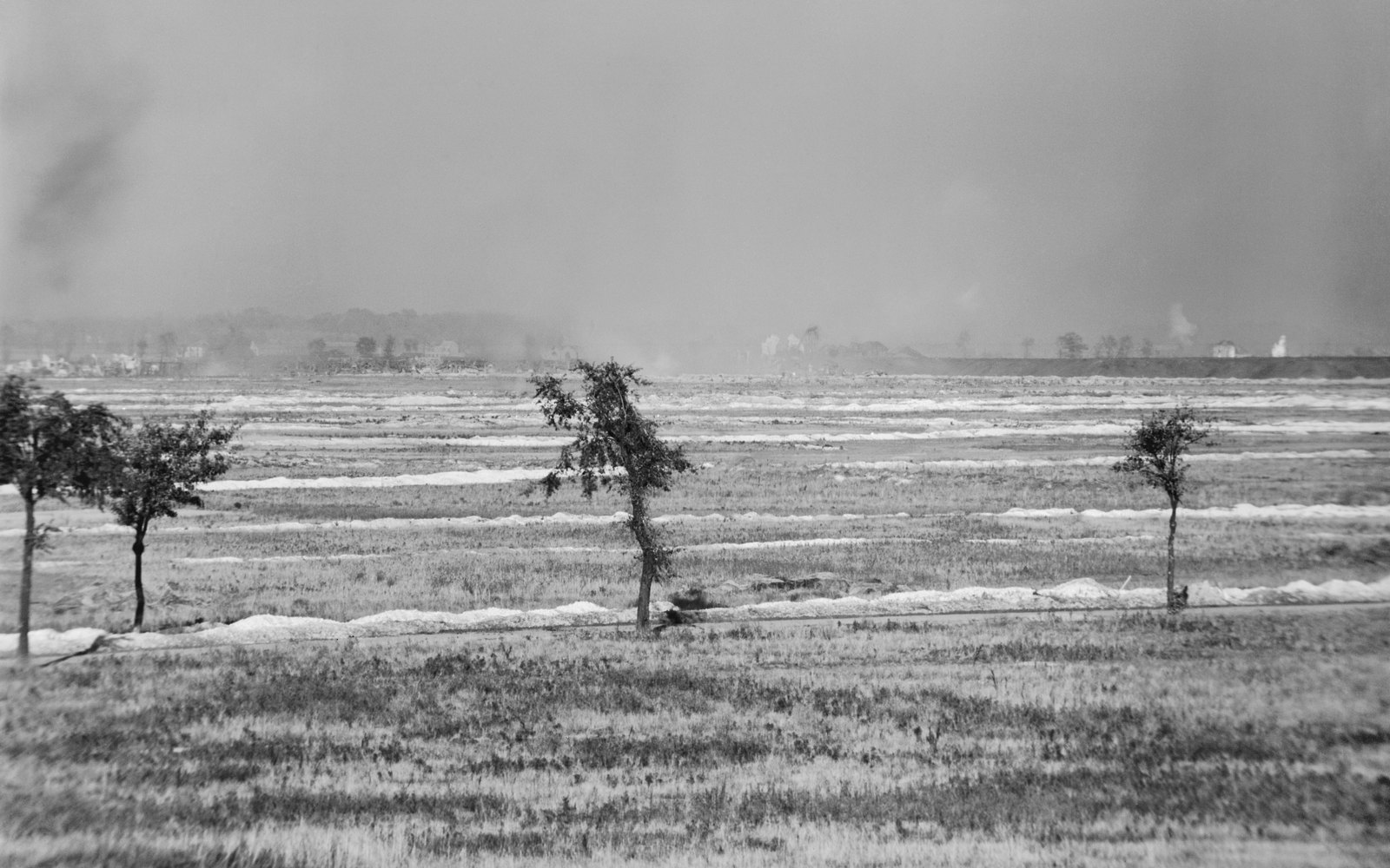Black and white photograph of flat open farmland crossed by pale lines of chalk thrown up from trenches, with a few young trees in the foreground and a gray haze of smoke and gas drifting over buildings and a long slag heap on the horizon
