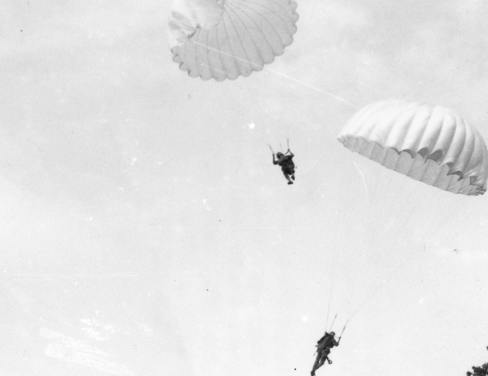 Black-and-white photograph of American paratroopers under open parachutes descending over Corregidor island.