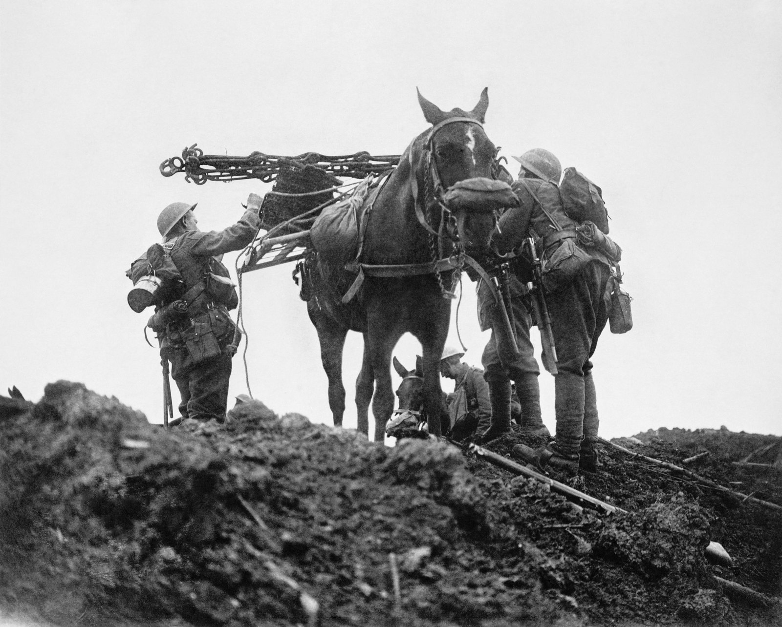 Black and white photograph: British soldiers in steel helmets and full kit load a pack horse wearing a gas mask with iron wiring staples, silhouetted against a pale sky on top of a mound of churned mud, with another horse and a soldier resting behind them.