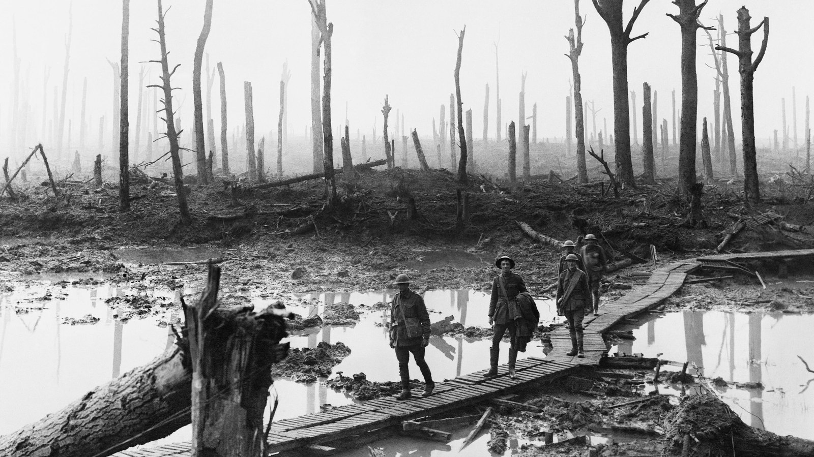 Australian gunners walk a duckboard track through the shattered, flooded Chateau Wood near Ypres during the Third Battle of Ypres, 29 October 1917