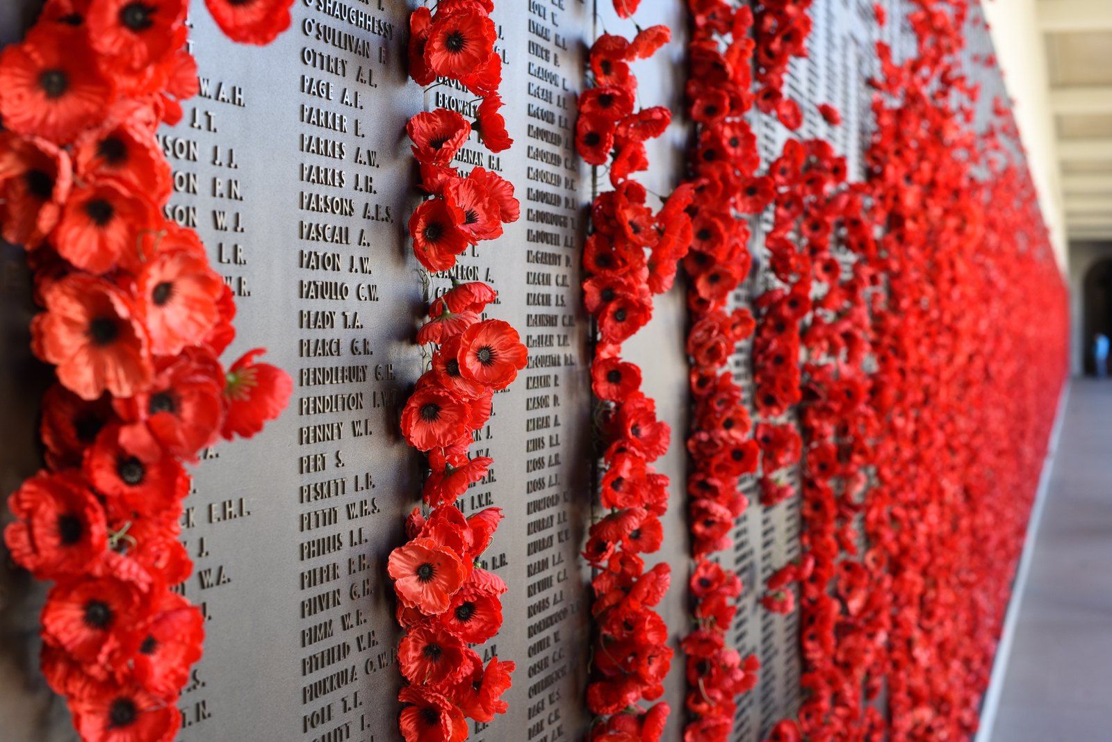 Hundreds of red artificial poppies tucked into the gaps beside rows of engraved names on a long bronze roll of honor wall, receding along a colonnade