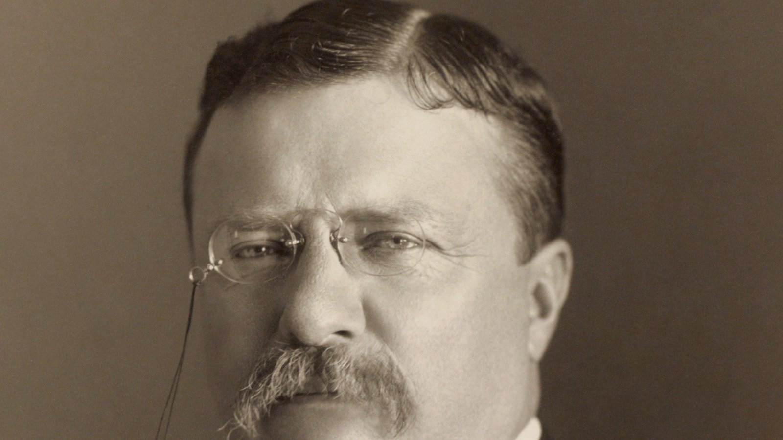 A portrait photograph of Theodore Roosevelt