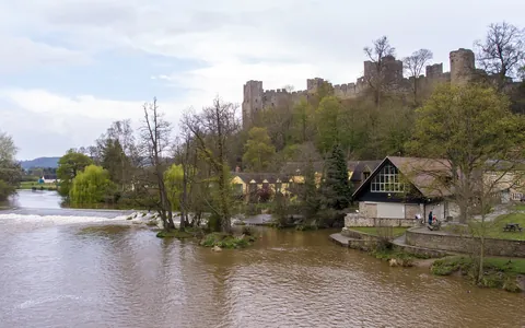 Rout of Ludford Bridge, 1459