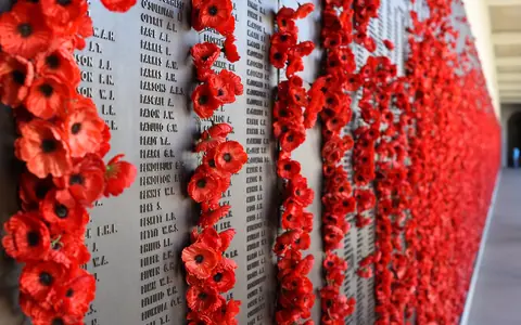 Why the Poppy? The Story of the Remembrance Poppy