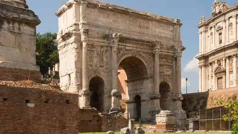 The Severan dynasty