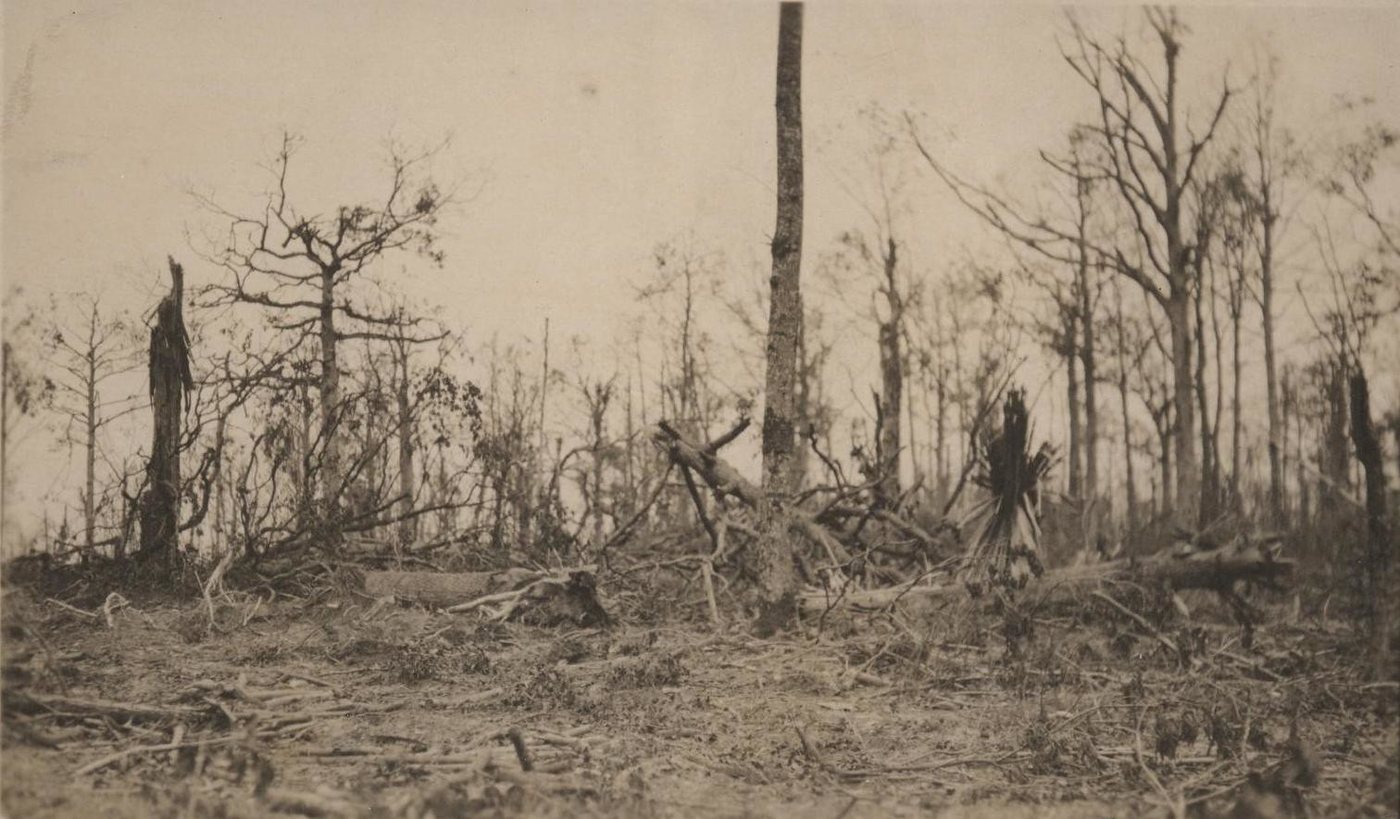 Black and white photograph of splintered, branchless trees in a devastated wood