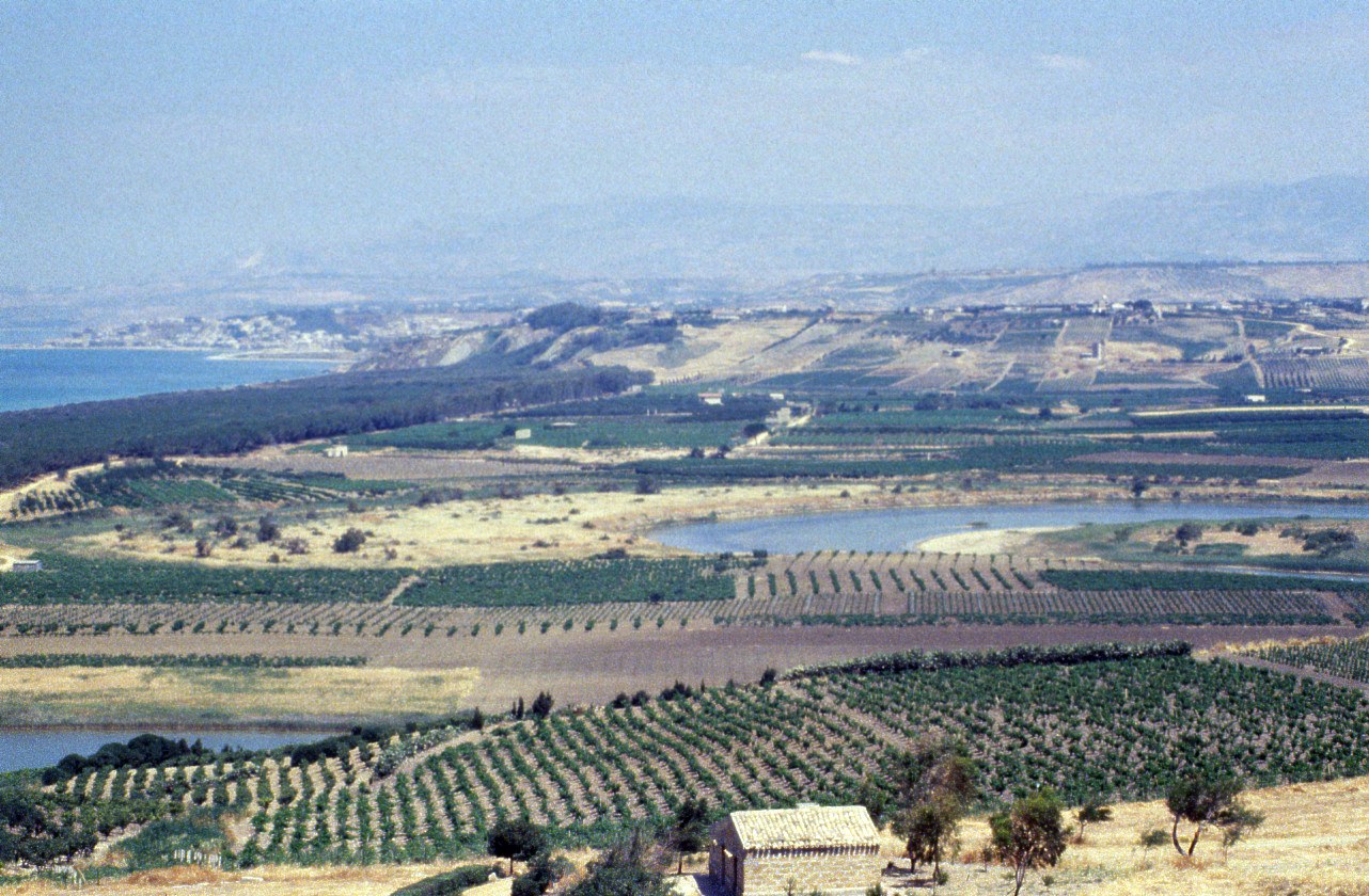 Color photograph looking down from a hill over vineyards and fields to a winding river mouth with a lagoon, a dark pine wood running along the shore to the left, the blue sea beyond and hazy hills on the horizon