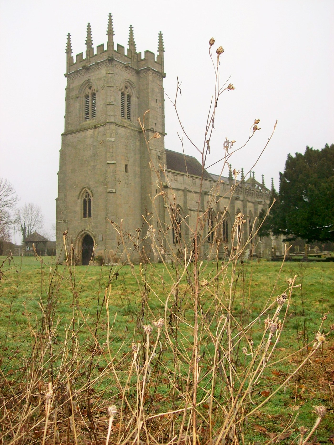 Photograph of a stone church with a tall pinnacled tower at its west end, seen across a grassy churchyard with dry seed heads in the foreground and a dark yew tree to the right under a misty sky