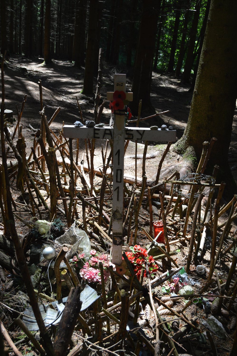 Shallow overgrown foxholes among tall pine trees with a small wooden cross and flowers