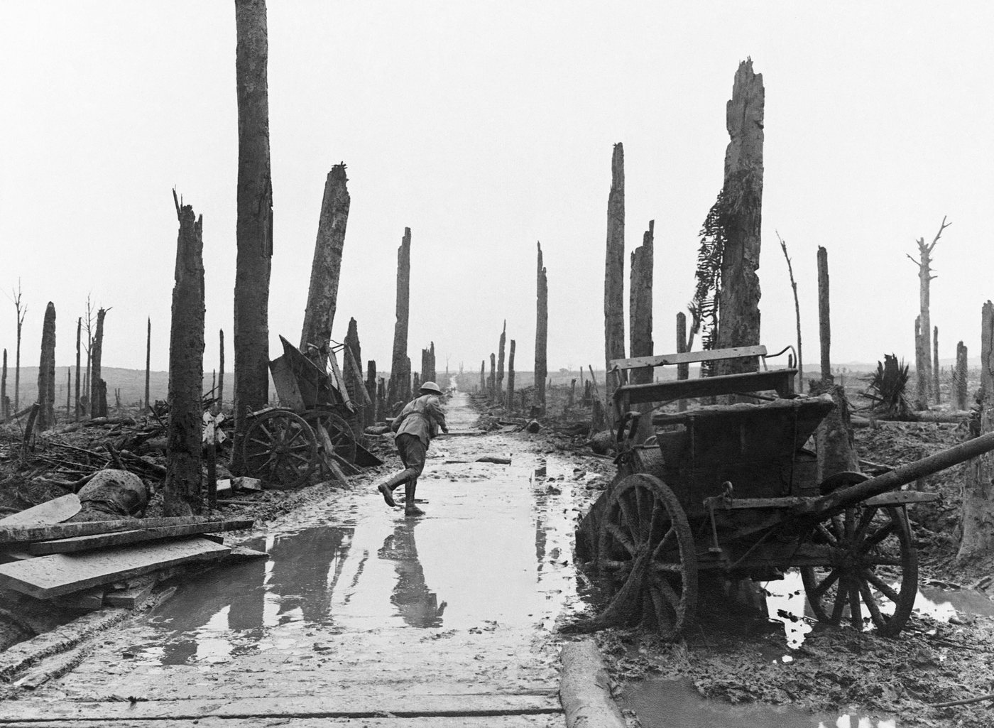 A lone soldier on a muddy track lined with shattered tree trunks