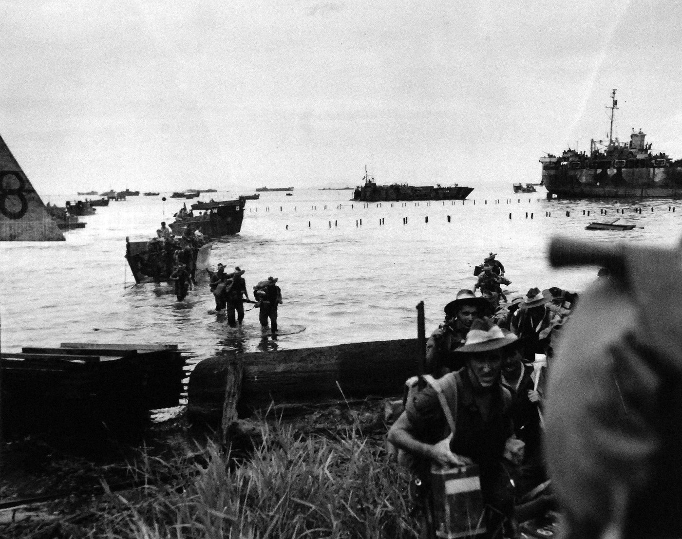 Black and white photograph: soldiers in slouch hats wade ashore from landing craft through shallow water lined with wooden stakes, with landing ships offshore.