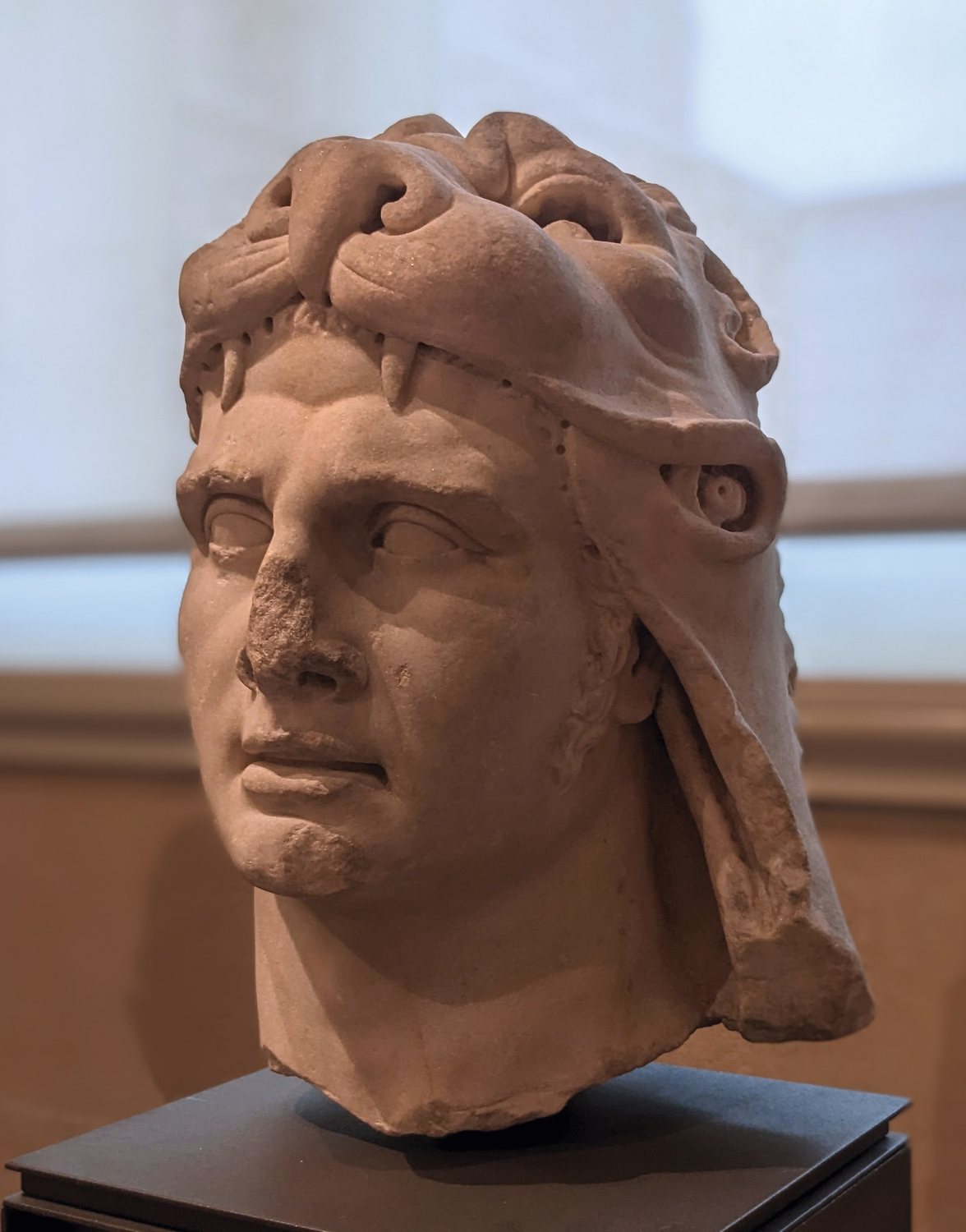 Marble head of a young man wearing a lion skin headdress