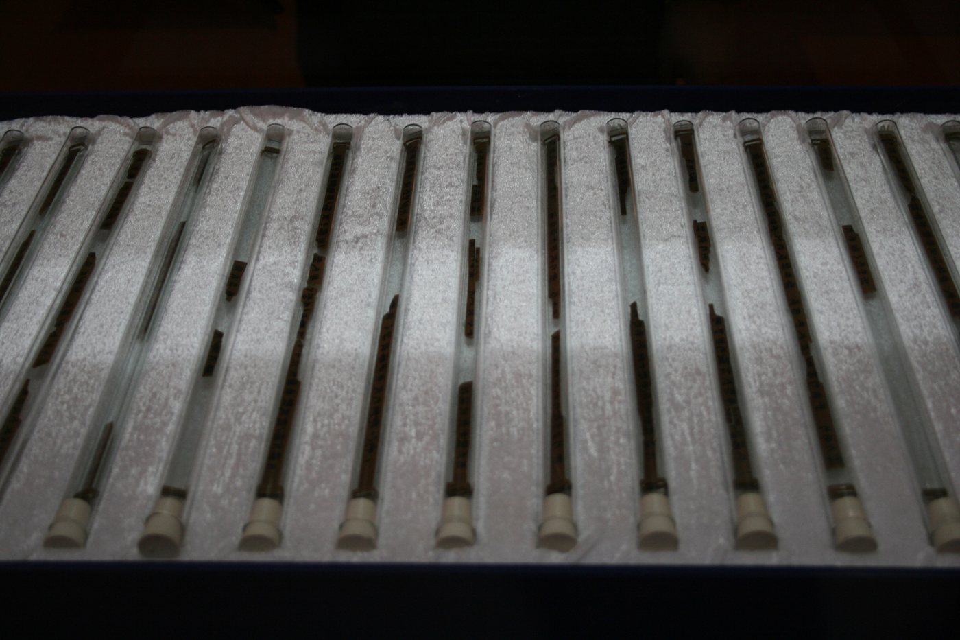 Row of ancient inscribed bamboo slips in a museum display case