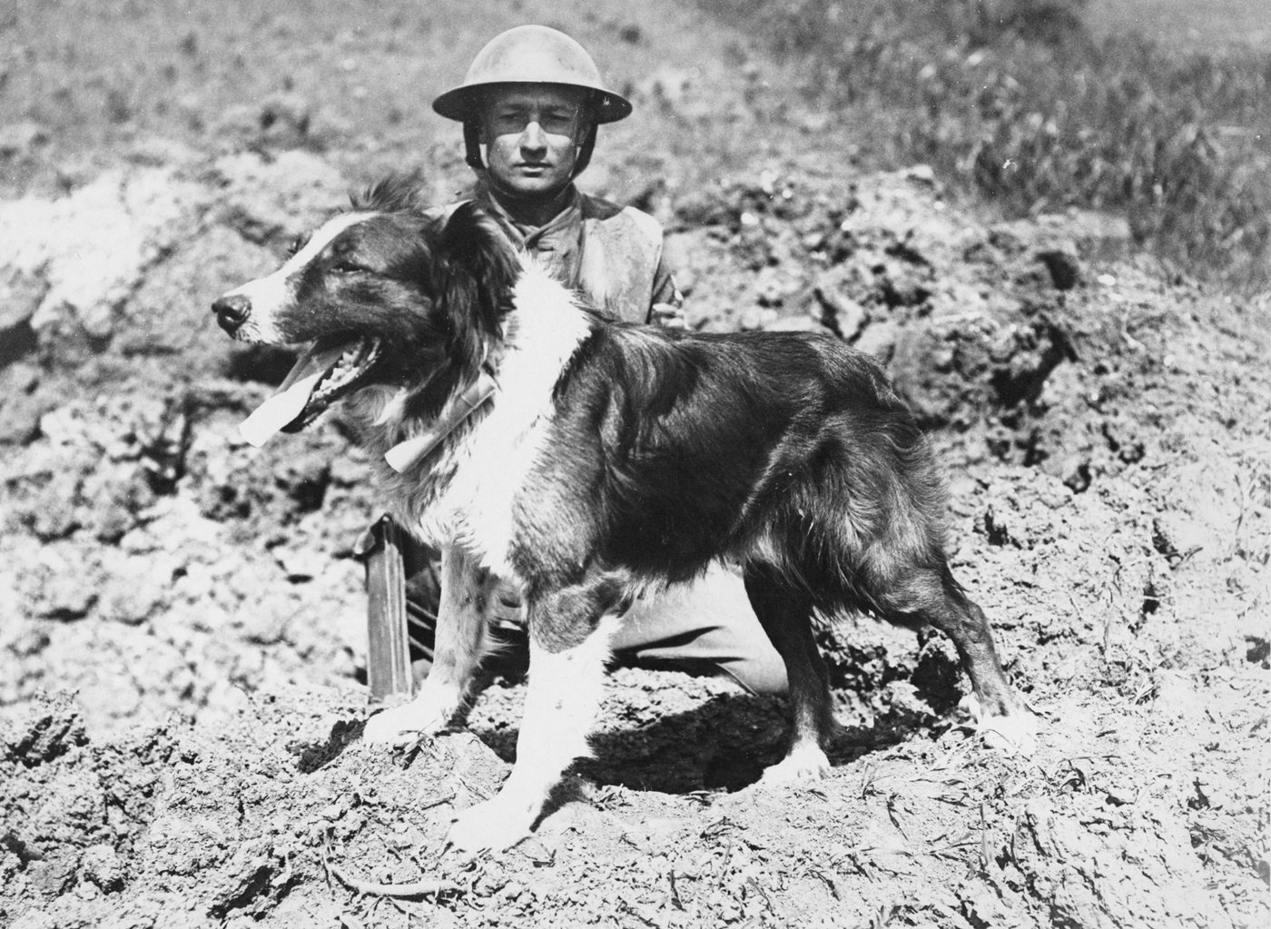 A soldier crouching beside a messenger dog in France during the First World War